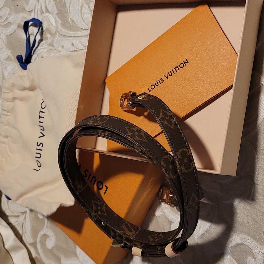 LV purse strap